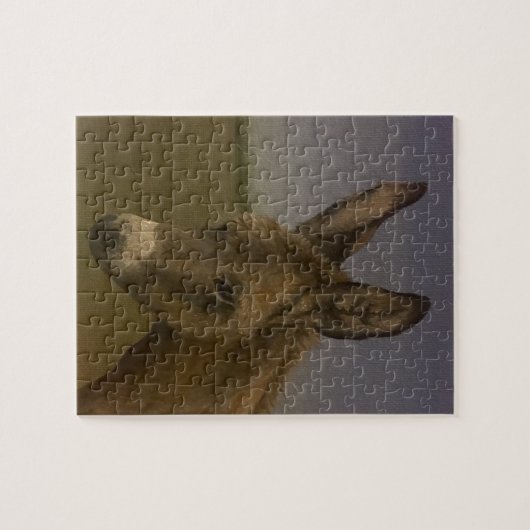 Donkey Puzzle (Horizontal)