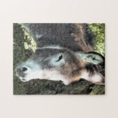 DONKEY PUZZLE (Horizontal)