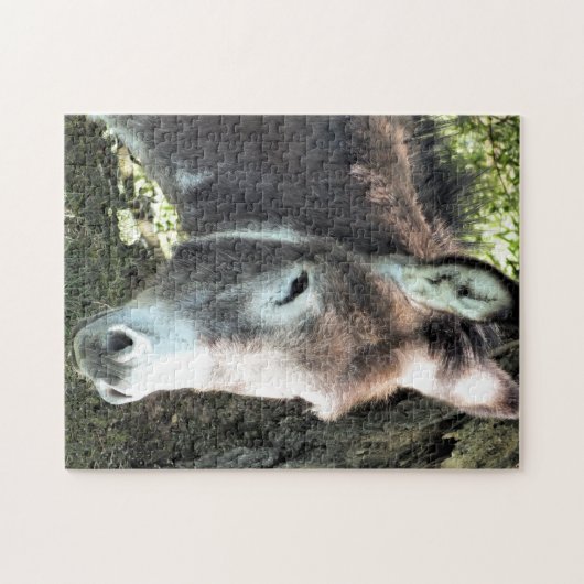 DONKEY PUZZLE (Horizontal)