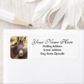 Donkey Return Address (Insitu)