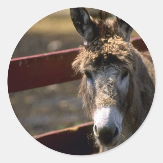 Donkey Runder Aufkleber (Vorderseite)
