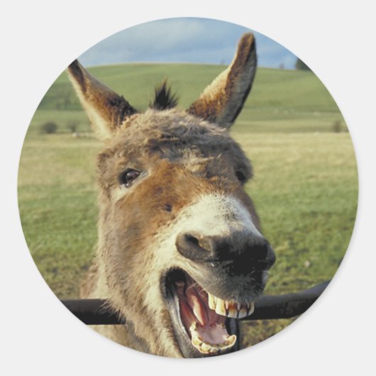 Donkey Runder Aufkleber (Vorderseite)