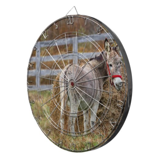 Donkey Schwanz Dartscheibe (Vorderseite rechts)