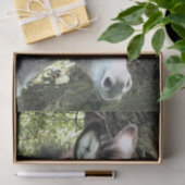 DONKEY SEIDENPAPIER (Geschenk)