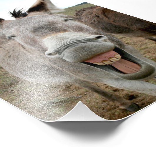 Donkey Smile Fotodruck (Ecke)
