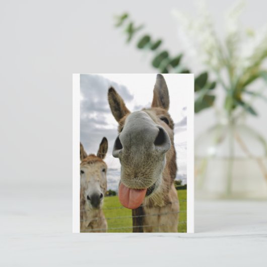 Donkey Spaß Postkarte (Stehend Vorderseite)