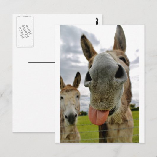 Donkey Spaß Postkarte (Vorne/Hinten)