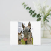 Donkey Spaß Postkarte (Stehend Vorderseite)