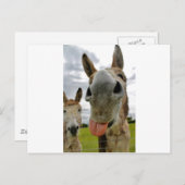 Donkey Spaß Postkarte (Vorne/Hinten)