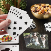 DONKEY SPIELKARTEN (In Situ)