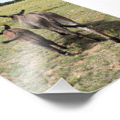 Donkey "Tales" Fotodruck (Ecke)