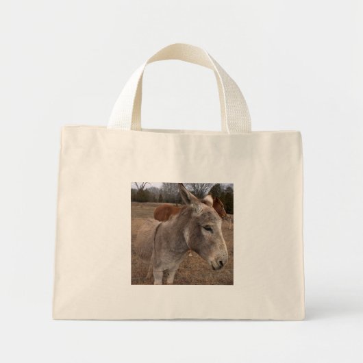 Donkey-Tasche Mini Stoffbeutel (Vorne)