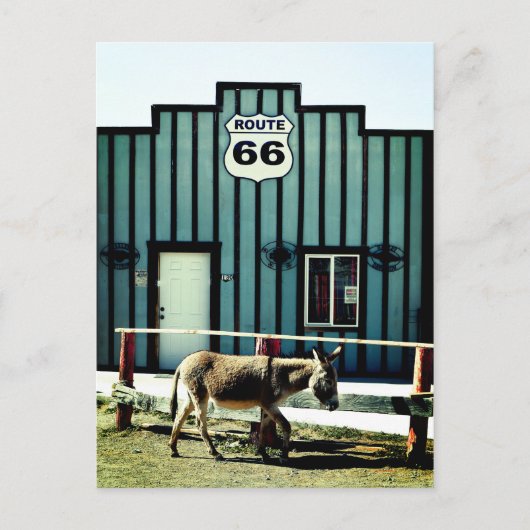 Donkey Town Oatman Arizona Ankündigungspostkarte (Vorderseite)