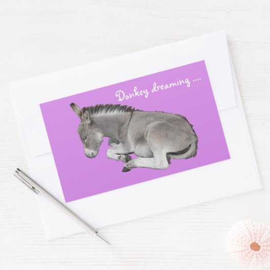 Donkey träumt niedliches Eselfohlen Rechteckiger Aufkleber (Umschlag)