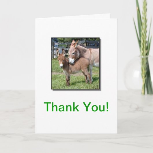 Donkey und Baby Danke-Card Dankeskarte (Vorderseite)