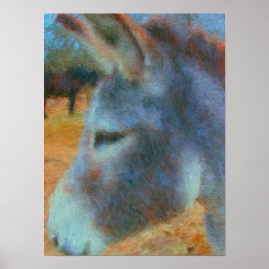 Donkey und Horse Malposter Poster (Vorne)