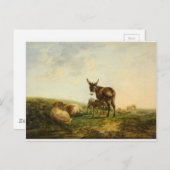 Donkey und Sheep von William Shayer Postkarte (Vorne/Hinten)