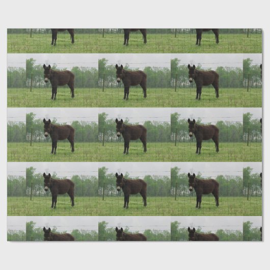 Donkey Wrapping Paper Geschenkpapier (Flach)
