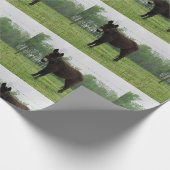 Donkey Wrapping Paper Geschenkpapier (Ecke)