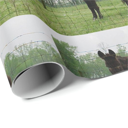 Donkey Wrapping Paper Geschenkpapier (Rolleneckpunkt)