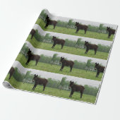 Donkey Wrapping Papier Geschenkpapier (Ungerollt)