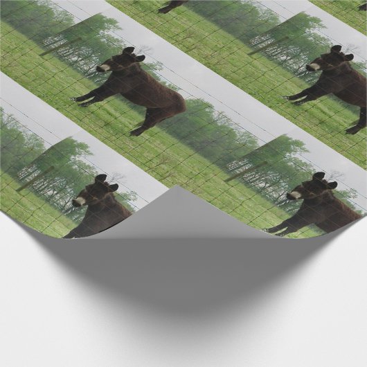 Donkey Wrapping Papier Geschenkpapier (Ecke)