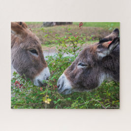 Donkeys, 520 Pcs, Puzzle
