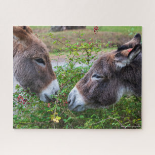 Donkeys, 520 Pcs, Puzzle