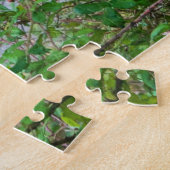 Donkeys, 520 Pcs, Puzzle (Seite)