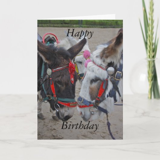 Donkeys at the Seaside Happy Birthday Card Karte (Vorderseite)