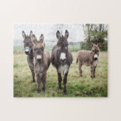 Donkeys auf einem misty Wintermorgen Puzzle (Horizontal)