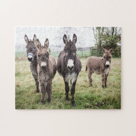 Donkeys auf einem misty Wintermorgen Puzzle (Horizontal)