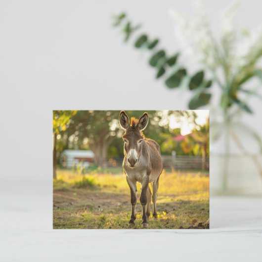 Donkeys Burro Postcard Postkarte (Stehend Vorderseite)