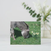 Donkeys essen keine wilden Affodien Postkarte (Stehend Vorderseite)