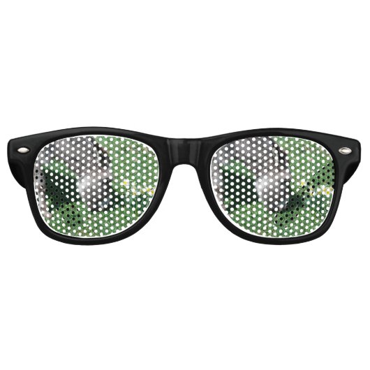 Donkeys essen keine wilden Affodien Sonnenbrille (Vorderseite)