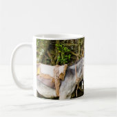 donkeys kaffeetasse (Links)