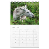 Donkeys-Kalender Kalender (Mär 2026)