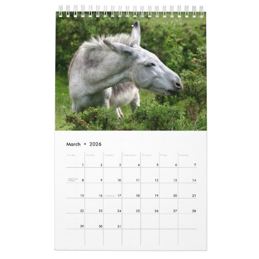 Donkeys-Kalender Kalender (Mär 2026)
