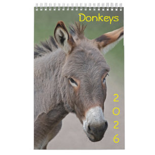 Donkeys-Kalender Kalender