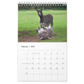 Donkeys-Kalender Kalender (Feb 2027)