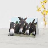 Donkeys Karte (Gelbe Blume)
