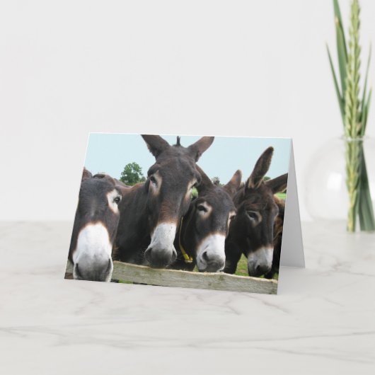 Donkeys Karte (Vorderseite)