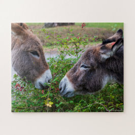 Donkeys, Kids, 56 Zimmer, Puzzle