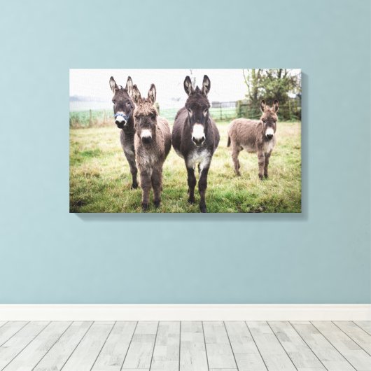 Donkeys Leinwanddruck (Insitu (Holzboden))