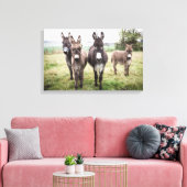 Donkeys Leinwanddruck (Insitu (Wohnzimmer))