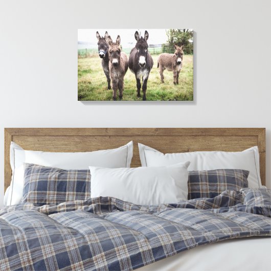 Donkeys Leinwanddruck (Insitu (Schlafzimmer))