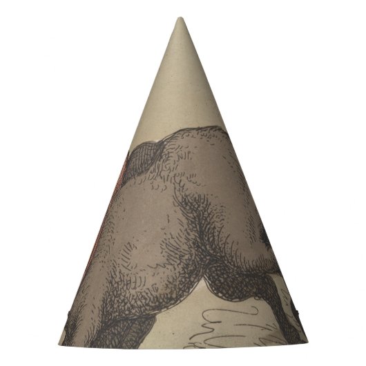 Donkeys - Party Hat Partyhütchen (Vorderseite)