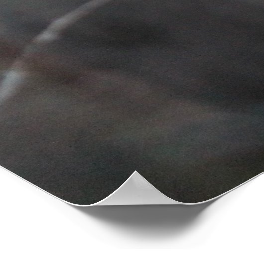 Donkeys Poster (Ecke)