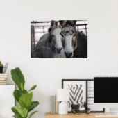 Donkeys Poster (Heimbüro)