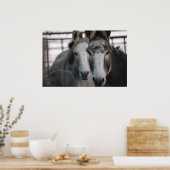 Donkeys Poster (Küche)